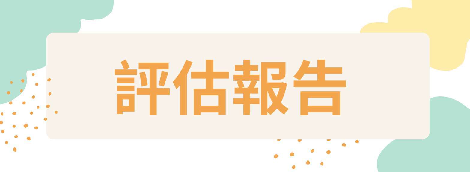 評估報告